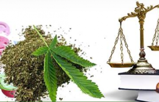 droga-tribunale-forense-legge