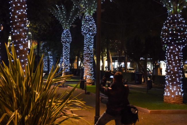luminarie-natale-2017-palme-ambigue-giardini-piaza-civitanova-FDM-1-650x433