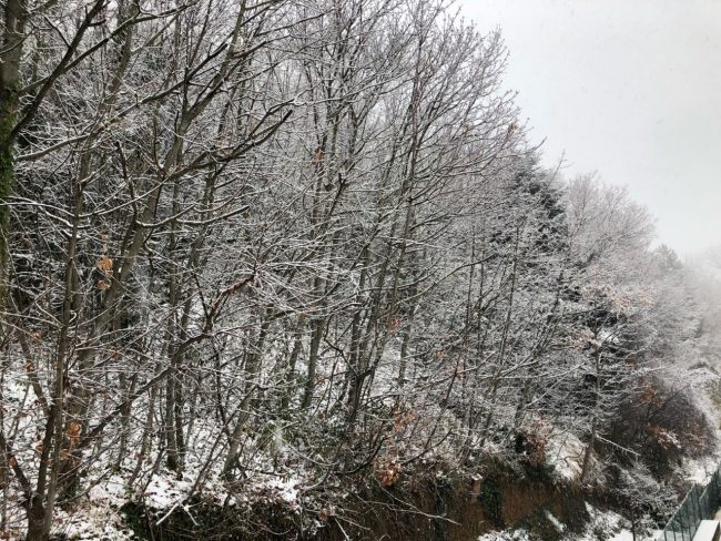 neve-cingoli-28-dicembre-2017-2-650x488