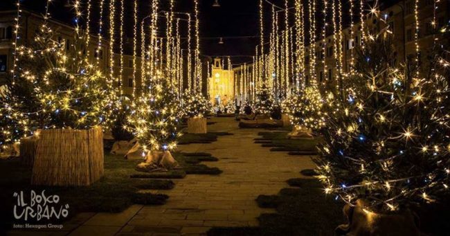 piazza-del-popolo-il-bosco-urbano