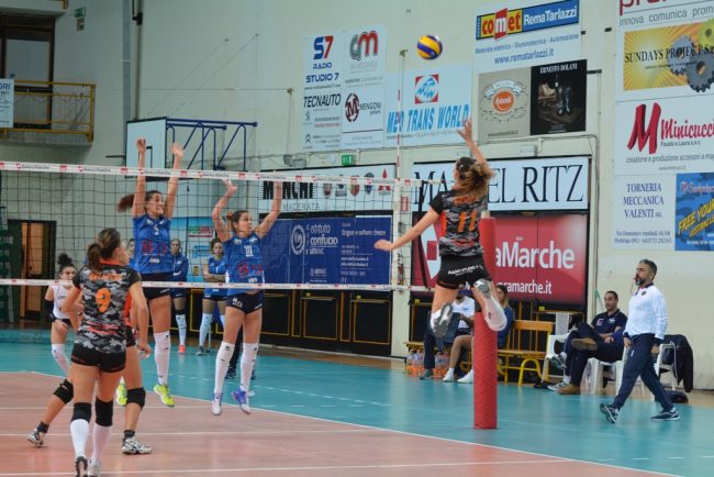 roana-1-650x434