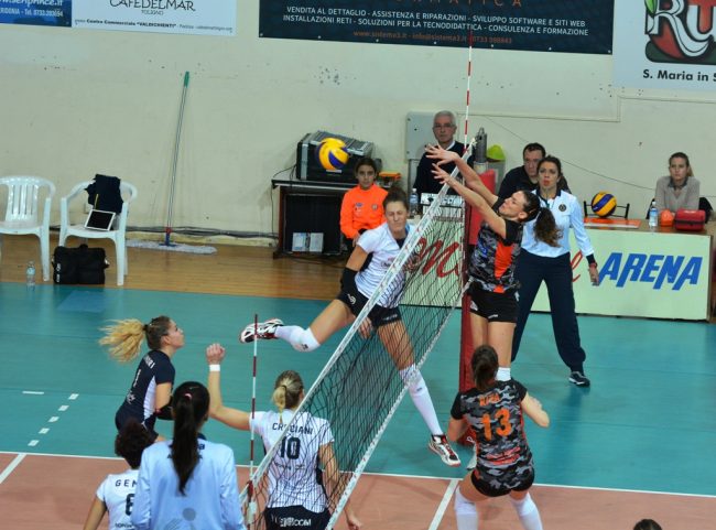 roana-6-1-650x481