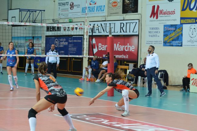 roana-7-650x434