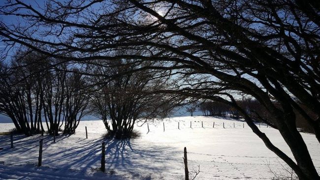 san-vicino-innevato