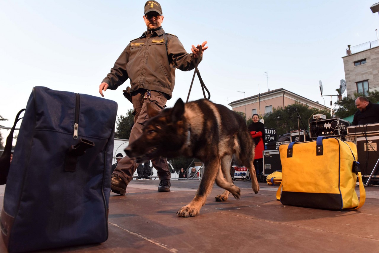 santantonio-in-piazza-animali-cane-gdf-civitanova-FDM-4