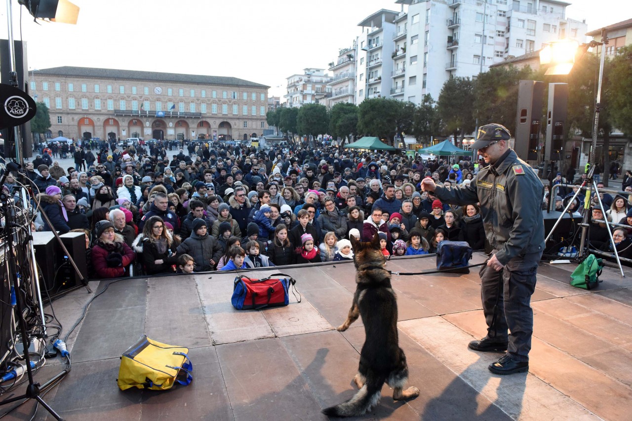 santantonio-in-piazza-animali-cane-gdf-civitanova-FDM-5