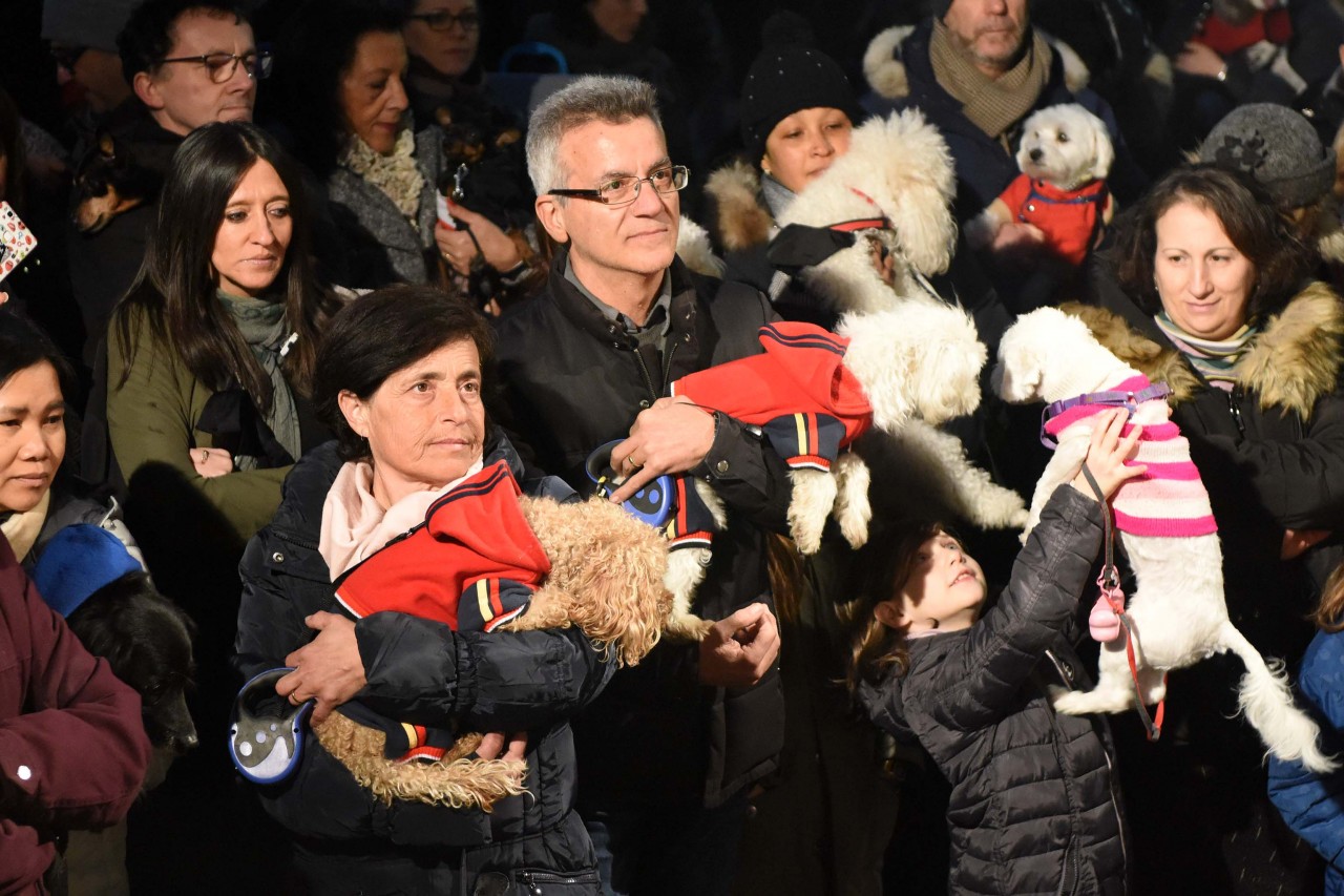 santantonio-in-piazza-animali-civitanova-FDM-12