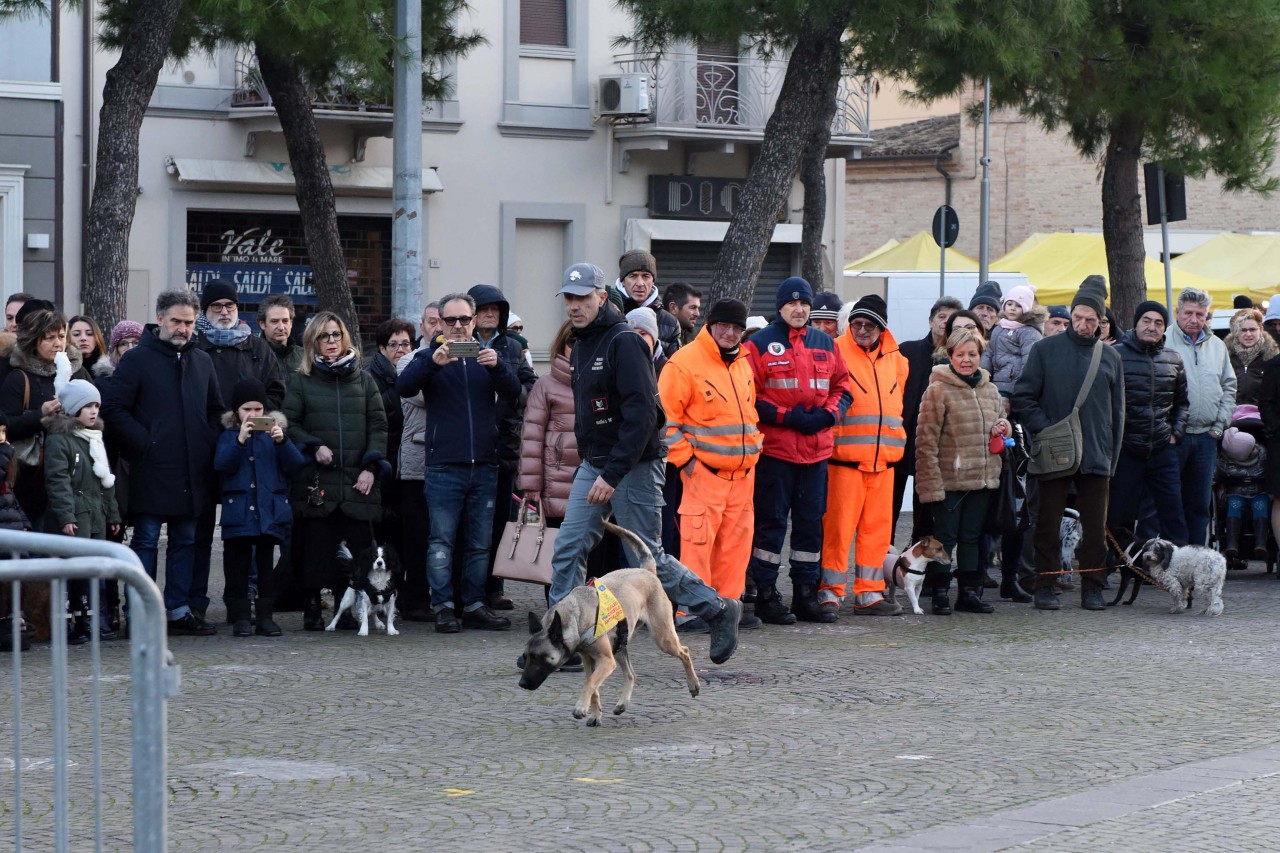 santantonio-in-piazza-animali-civitanova-FDM-3