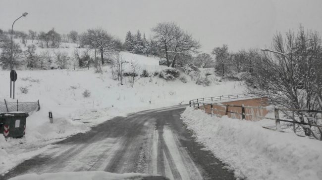 Acquacanina-Carabinieri-Forestali