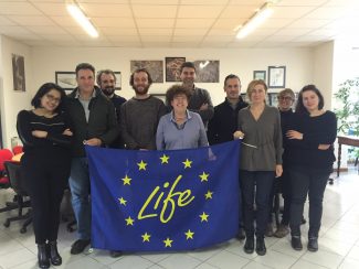 gruppo-Ecotiles