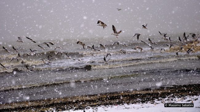 CIVITANOVA-SOTTO-LA-NEVE-MASSIMO-SABATINI-1-650x366