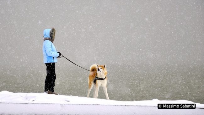 CIVITANOVA-SOTTO-LA-NEVE-MASSIMO-SABATINI-12-650x366
