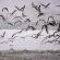 CIVITANOVA-SOTTO-LA-NEVE-MASSIMO-SABATINI-3-55x55