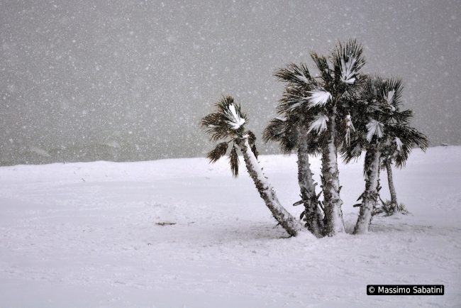 CIVITANOVA-SOTTO-LA-NEVE-MASSIMO-SABATINI-9-650x434