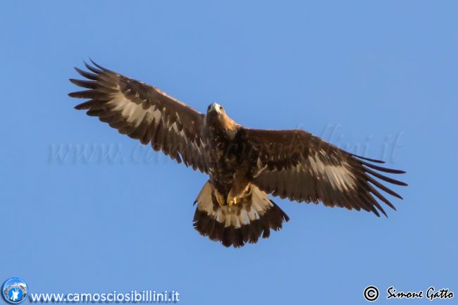 ciaspolonga-frontignano-8-650x433