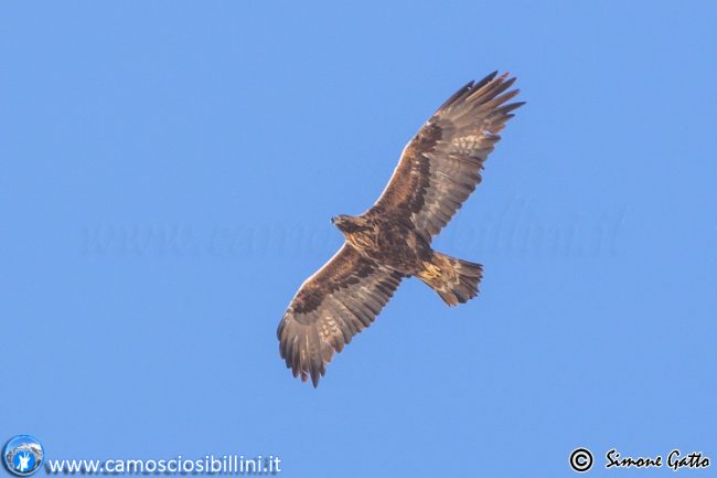 ciaspolonga-frontignano-9-650x433