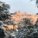neve-treia-2-55x55