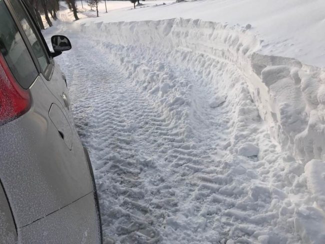 neve-treia-3-650x488