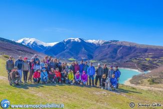 camoscio_sibillini