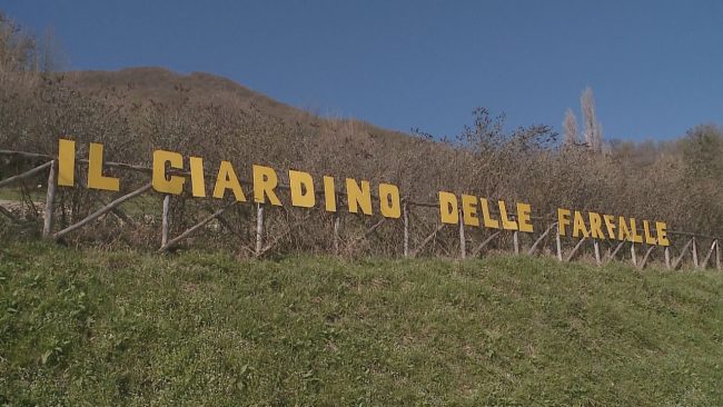 giardino_delel_farfalle_inaugurazione-2-650x366