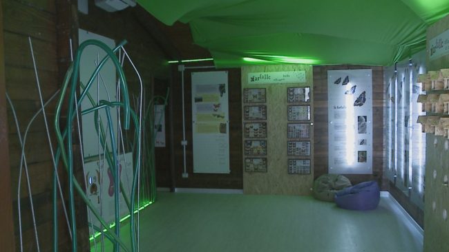 giardino_delel_farfalle_inaugurazione-24-650x366