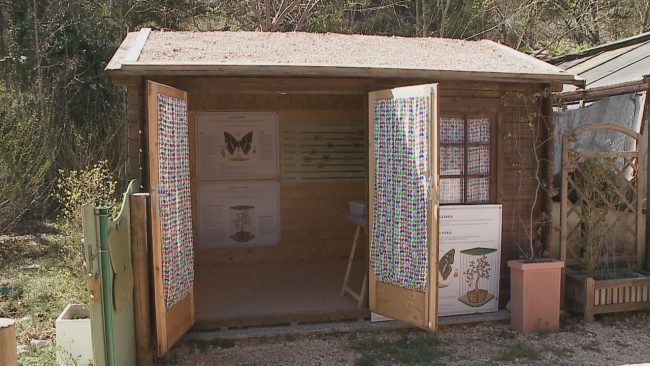 giardino_delel_farfalle_inaugurazione-27-650x366