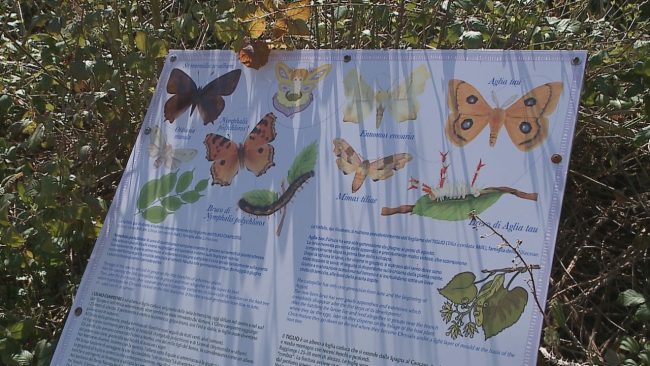 giardino_delel_farfalle_inaugurazione-31-650x366