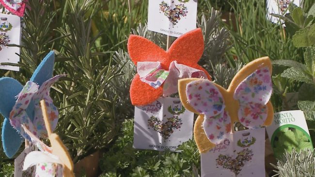 giardino_delel_farfalle_inaugurazione-5-650x366