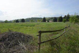 la-pieve-ospedale-terreno-FF-2-325x217