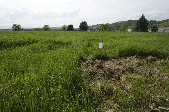la-pieve-ospedale-terreno-FF-4-650x433