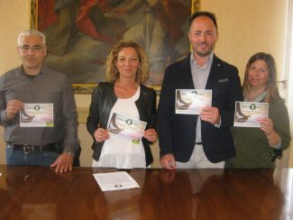 Olisticamare