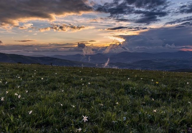 piani-ragnolo-ph_mazzoni-4-650x451