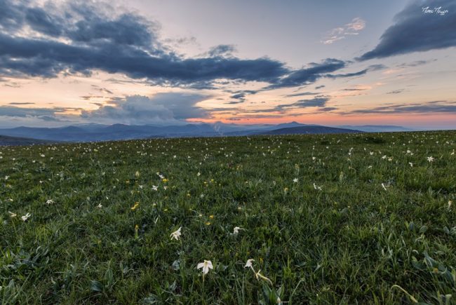 piani-ragnolo-ph_mazzoni-8-650x435