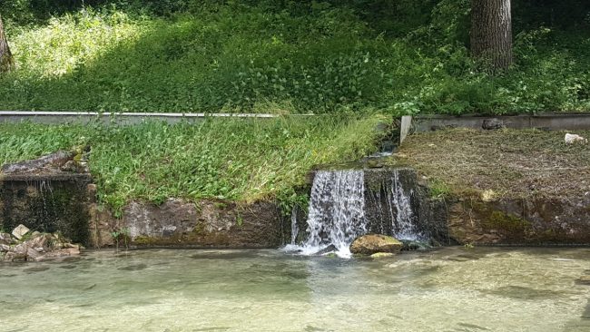20180605_143729-650x366