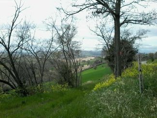 Paesaggio-Madonna-del-Monte