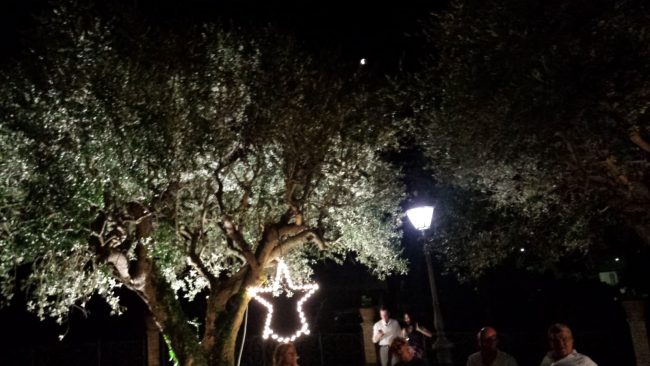 ROTARY-FESTA-DESTATE-STELLA-2018-07-28-PHOTO-00001108-650x366