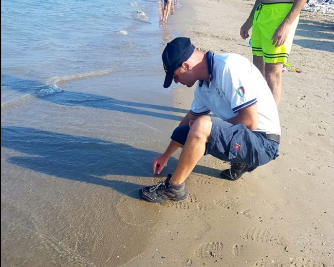chiazza-mare-civitanova2-e1532886254649-650x520