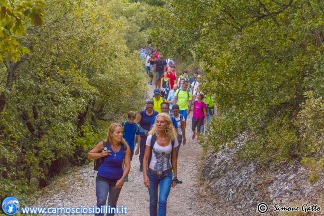 escursioni-camoscio-dei-sibillini-1-650x433