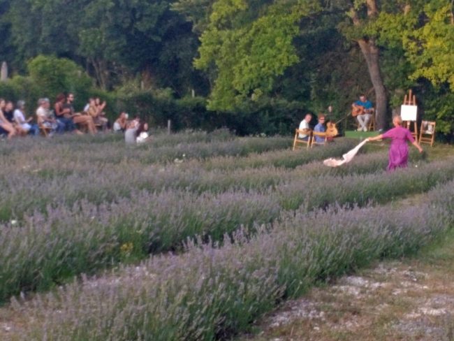 lavanda-1-650x488