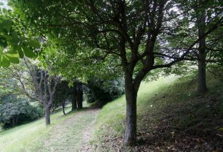 parco-portella