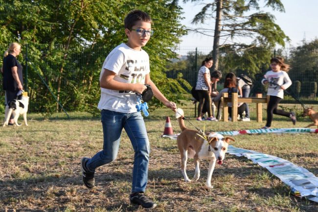 nuova-area-sgambamento-cani-dog-park-cuore-adriatico-civitanova-FDM-16-650x433