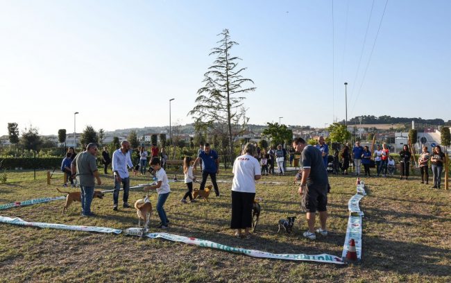 nuova-area-sgambamento-cani-dog-park-cuore-adriatico-civitanova-FDM-17-650x408