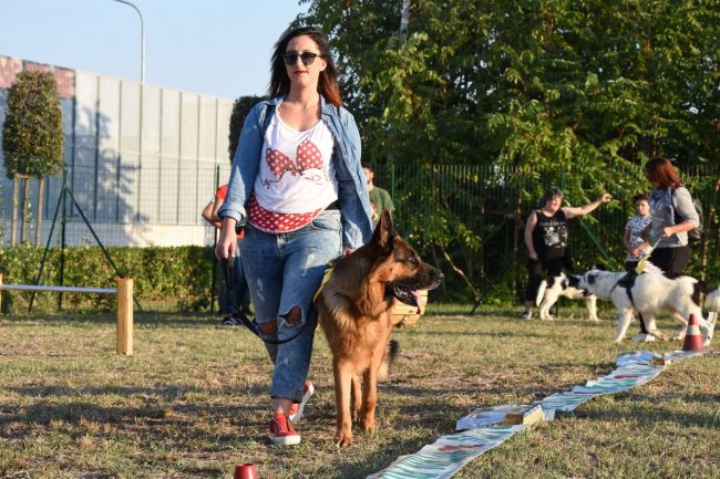 nuova-area-sgambamento-cani-dog-park-cuore-adriatico-civitanova-FDM-19-650x433