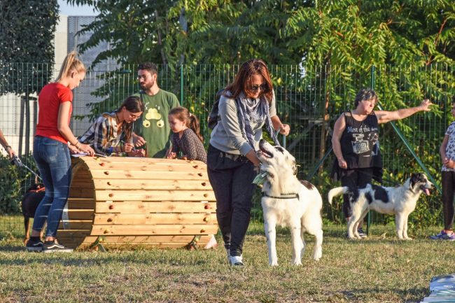 nuova-area-sgambamento-cani-dog-park-cuore-adriatico-civitanova-FDM-20-650x433