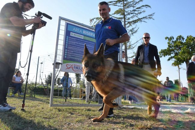 nuova-area-sgambamento-cani-dog-park-cuore-adriatico-civitanova-FDM-8-650x433