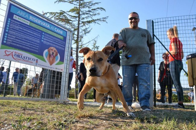 nuova-area-sgambamento-cani-dog-park-cuore-adriatico-civitanova-FDM-9-650x433
