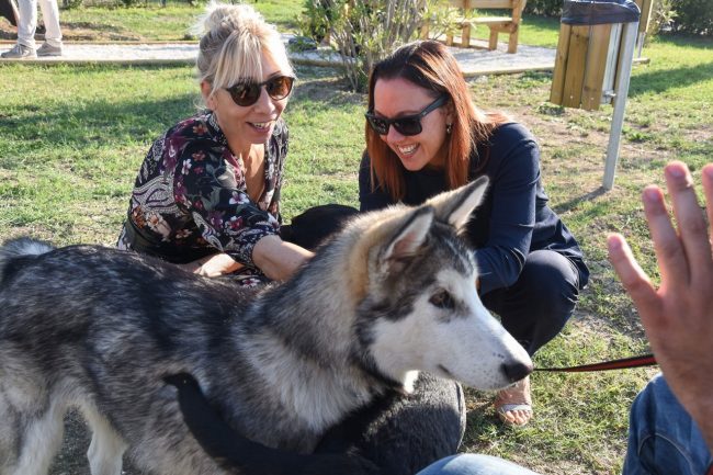 nuova-area-sgambamento-cani-dog-park-cuore-adriatico-gamberini-civitanova-FDM-1-650x433
