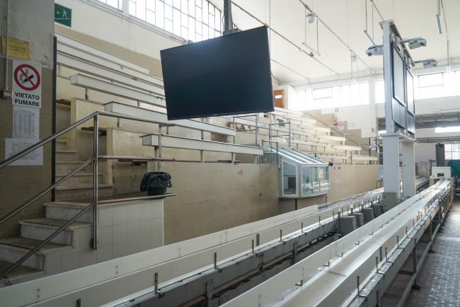 riunione mercato ittico - civitanova - FDM (4)