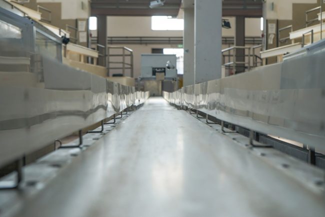 riunione-mercato-ittico-civitanova-FDM-5-650x434