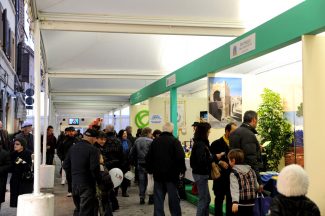 TOLENTINOEXPO-2-325x216